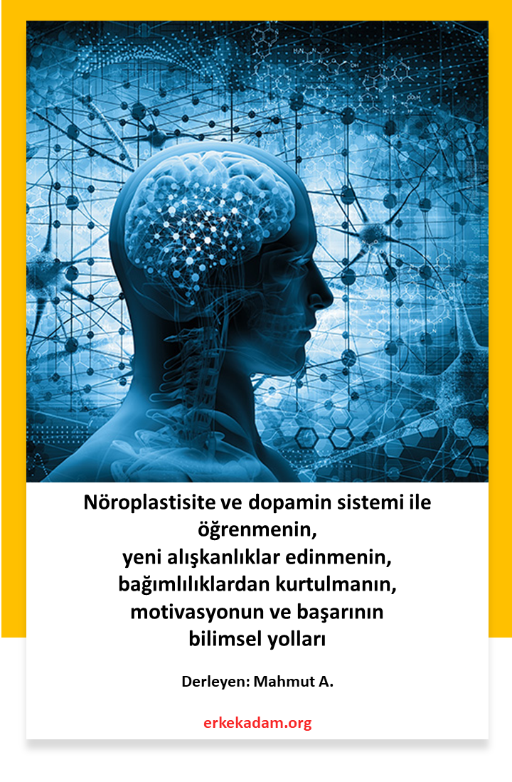 Nöroplastisite 101 - Beyni yeniden kablolama