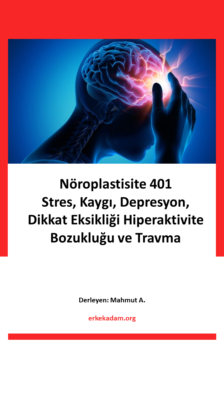 Nöroplastisite 401 - Stres, Kaygı, Depresyon, Dikkat Eksikliği ve Hiperaktivite Bozukluğu