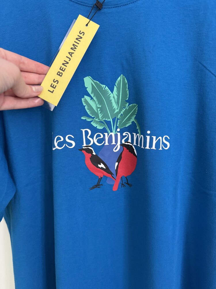 Les benjamins