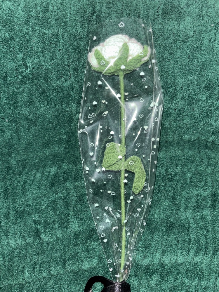 İncili Beyaz Gül