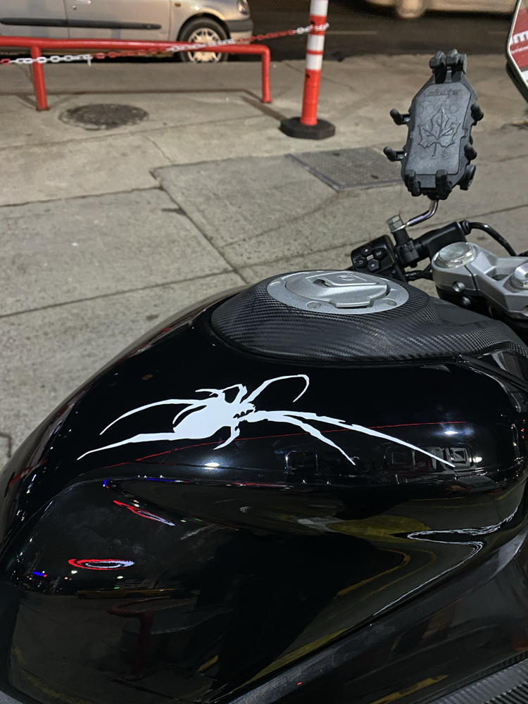 Örümcek sticker