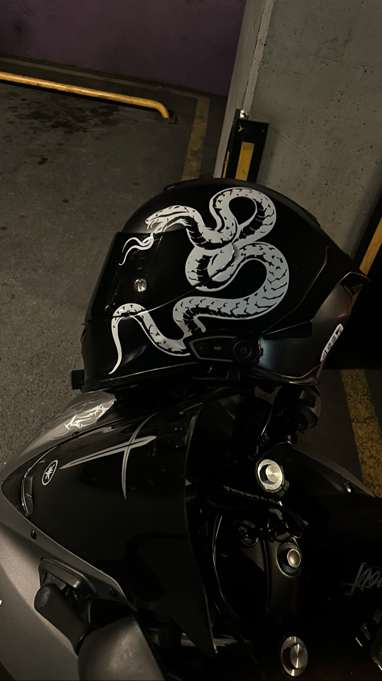 Snake sticker