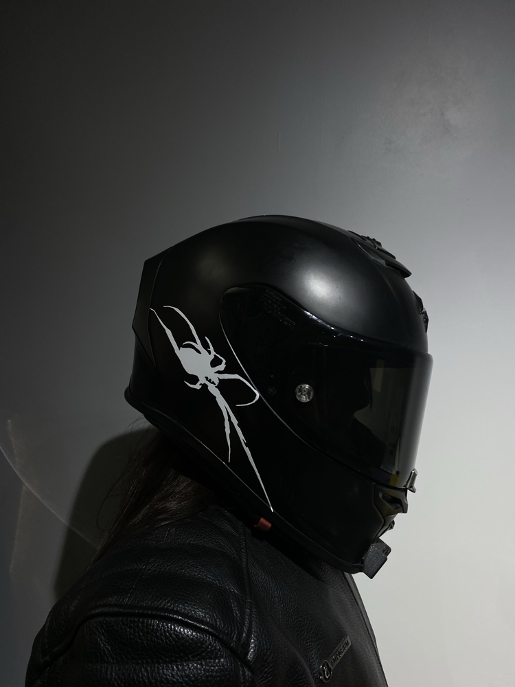 Örümcek sticker