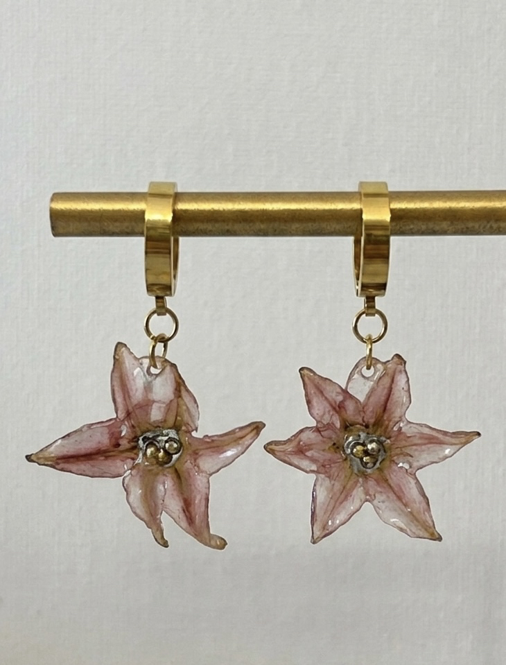 Pembe sümbül çiçegi