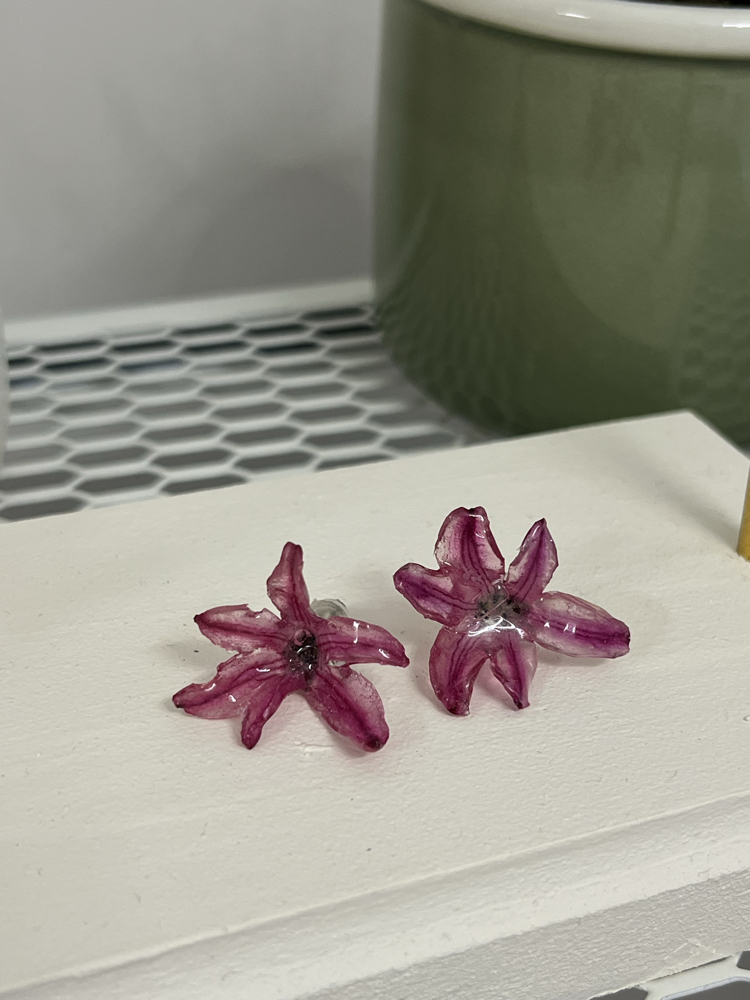 Pembe sümbül küpe