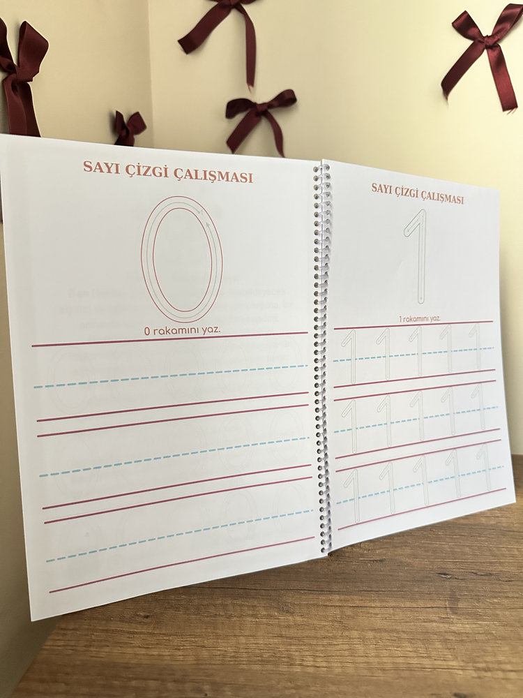 SAYI ÇİZGİ ÇALIŞMASI KİTABI