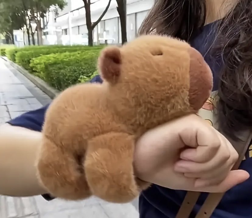 Kapibara Su Domuzu Bebek Bileklik Figür Peluş Oyuncak Kız Bebek Çocuk Bileği Küçük Kolye