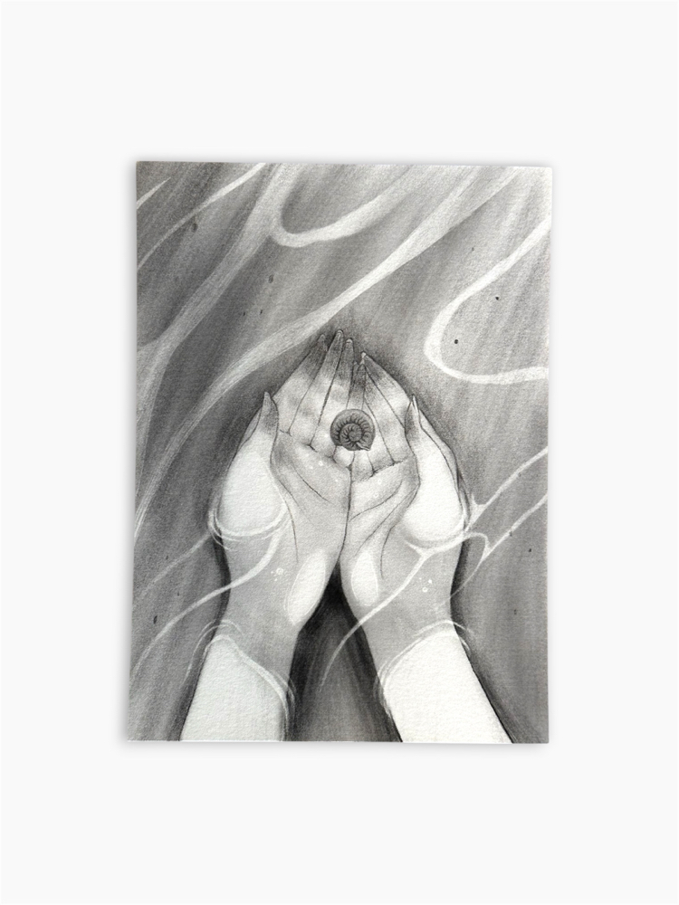 A Shell | Art Print