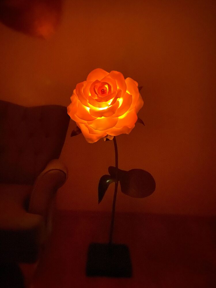 pilli gün ışığı