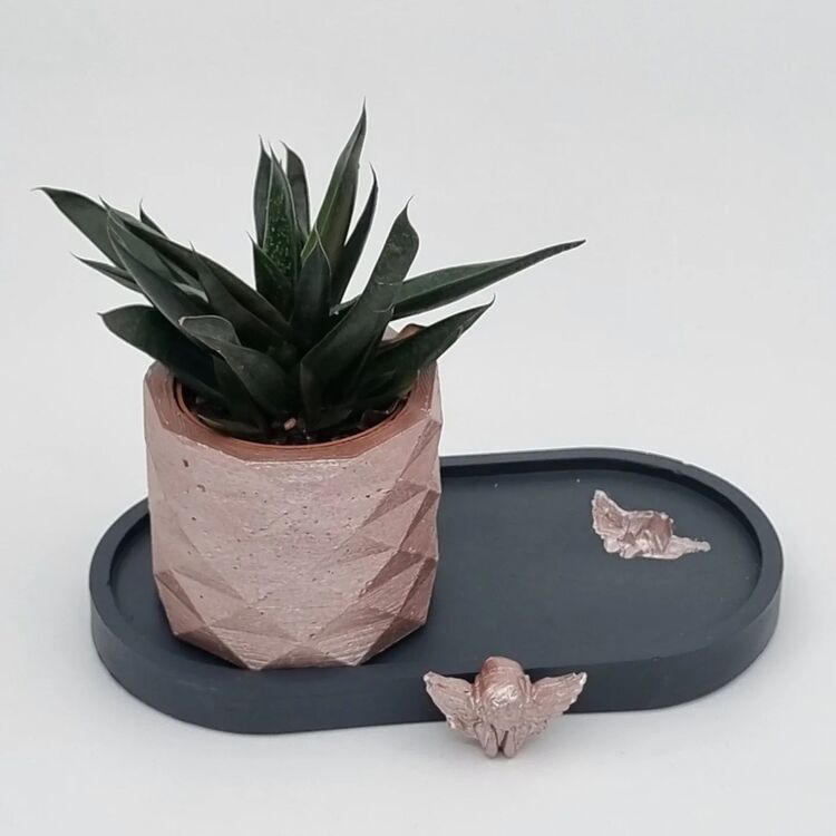 Beton Çiçek Set