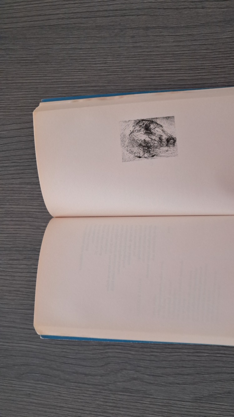 John Berger - Gökyüzü Mavi Siyah (Bütün Şiirleri)