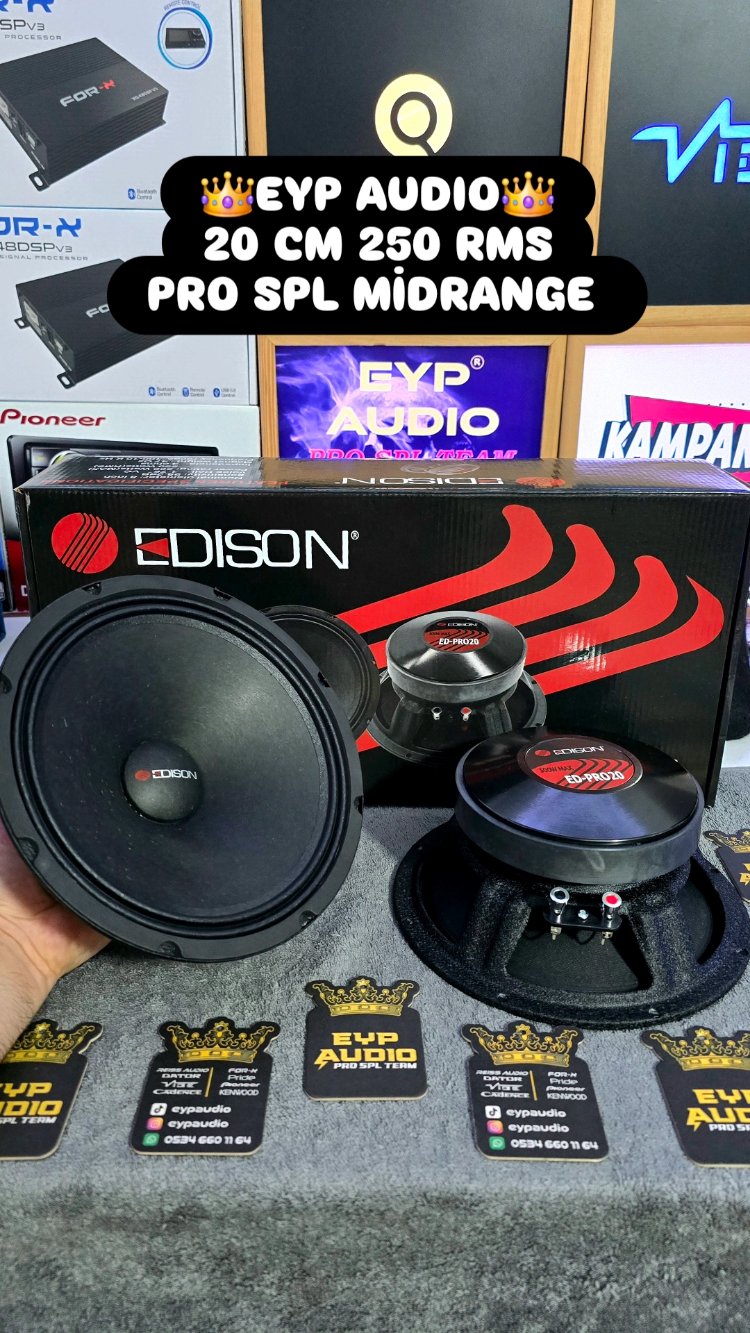 EDİSON PRO20 20 CM 250 RMS PRO SPL MİDRANGE