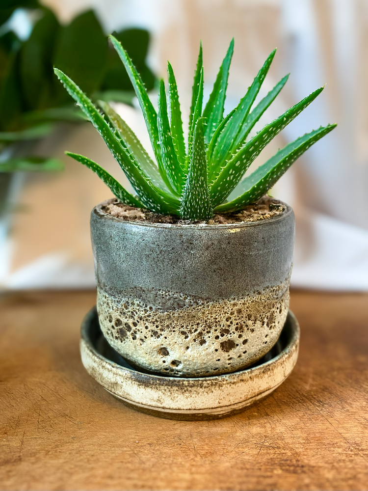 Stoneware Saksı & Tabak Seti