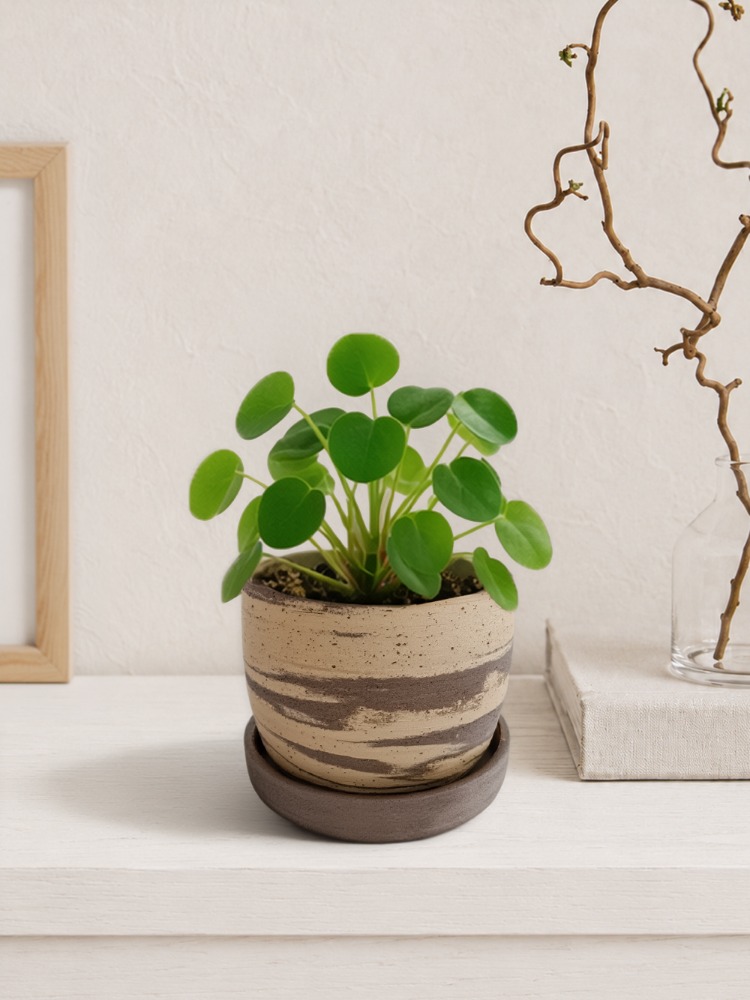 Stoneware Saksı + Tabak Seti
