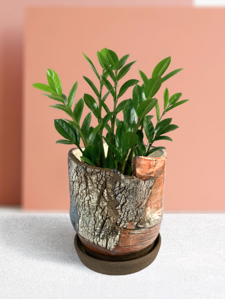 Stoneware Saksı & Tabak Seti (Özel Seri)