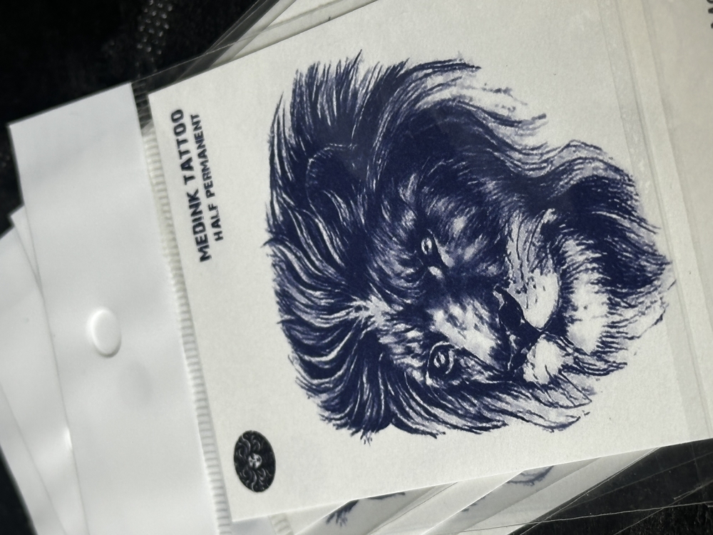 Minimal aslan