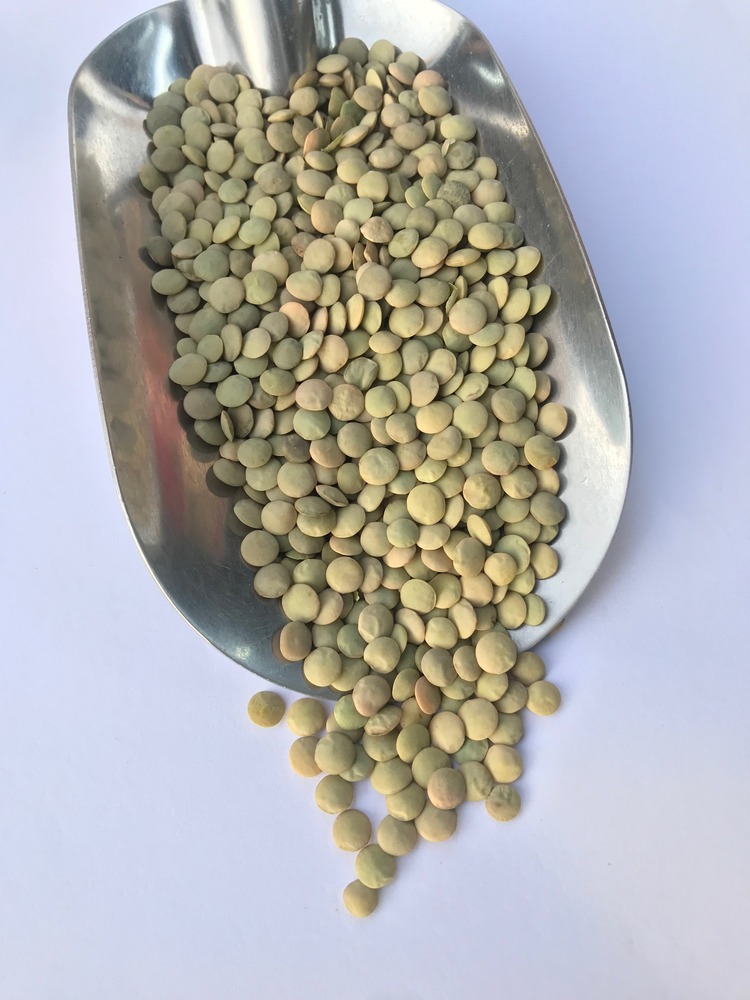 Yerli Yeşil Mercimek (Yozgat)  1 kg