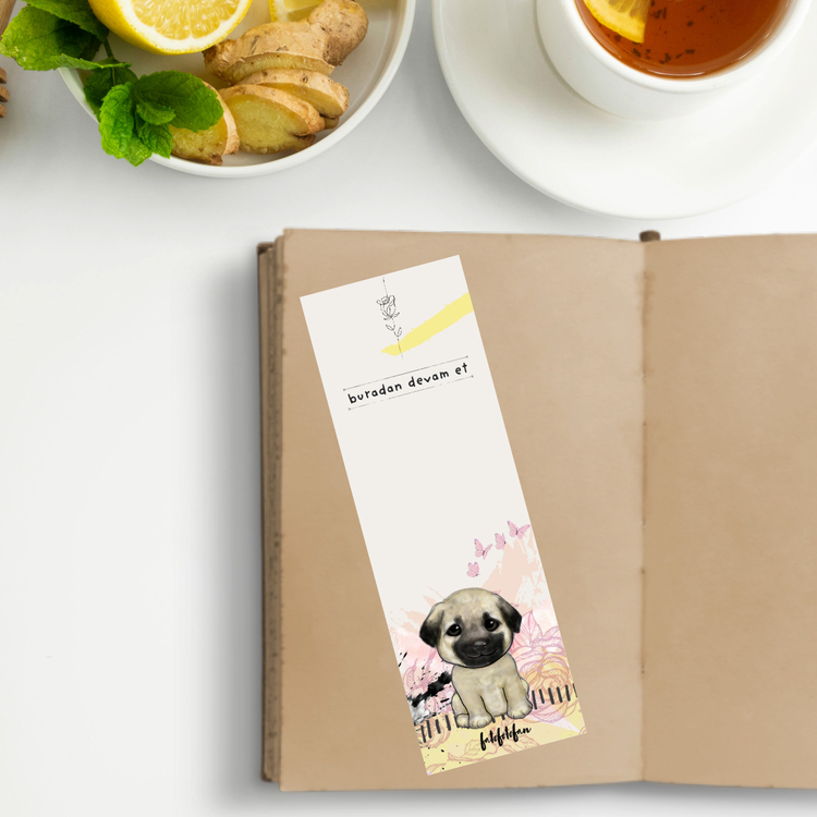 Capybara Günlüğü – 3’lü Sevimli Kitap Ayracı Seti