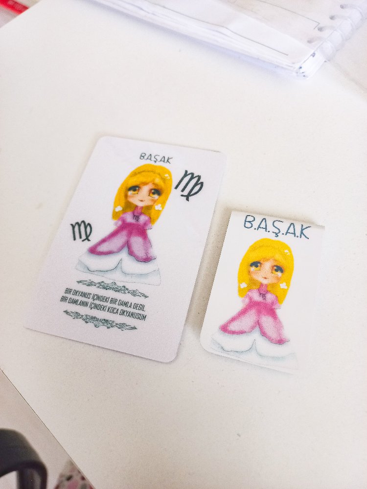 Başak Burcu ikili set magnet ,ayraç