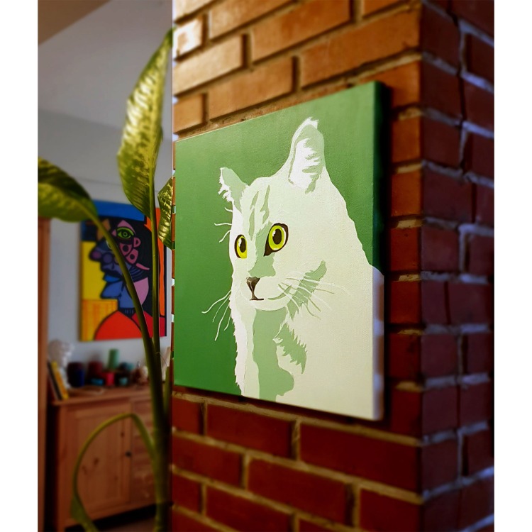 Kedi