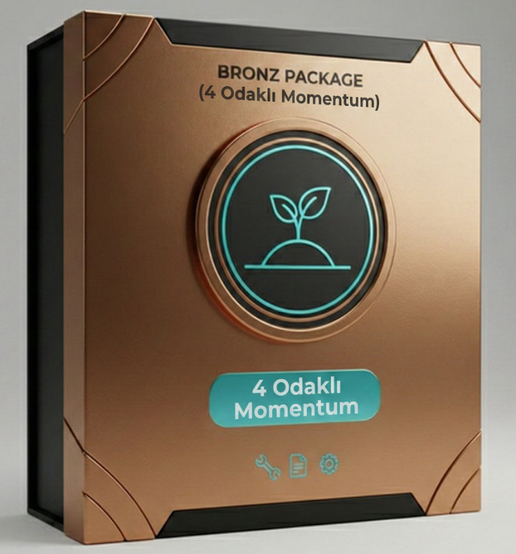 Süreç Mimarı Video Eğitim Programı (Bronze) + 4 Seans Yol Haritası