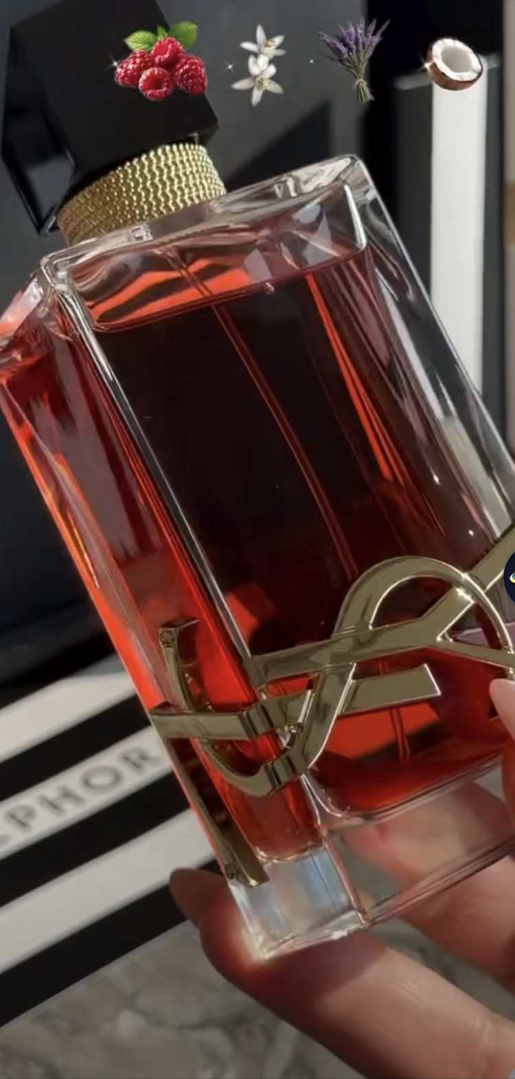 YSL 