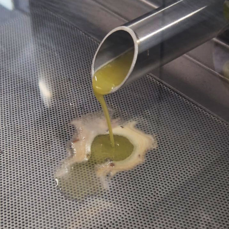 5LT Teneke Erken Hasat Soğuk Sıkım Zeytinyağı Naturel Sızma (Yeni Sezon)