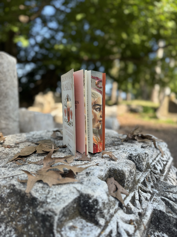Game of thrones kitap serisi 