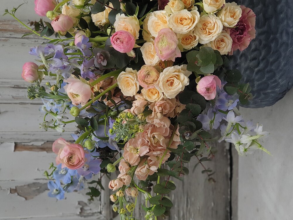 Ranunculus