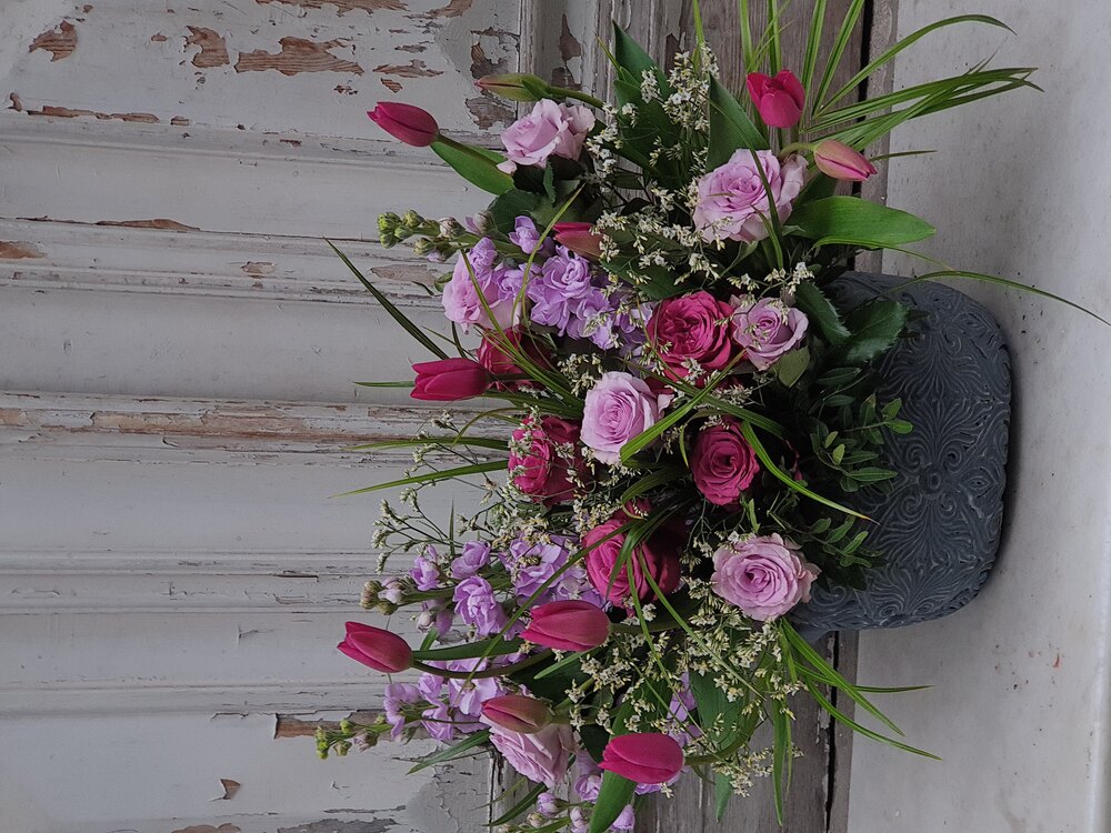 Fuchsia Tulip