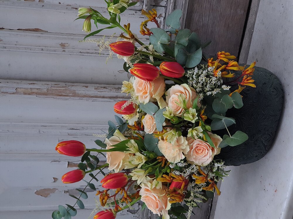 Organge Tulip
