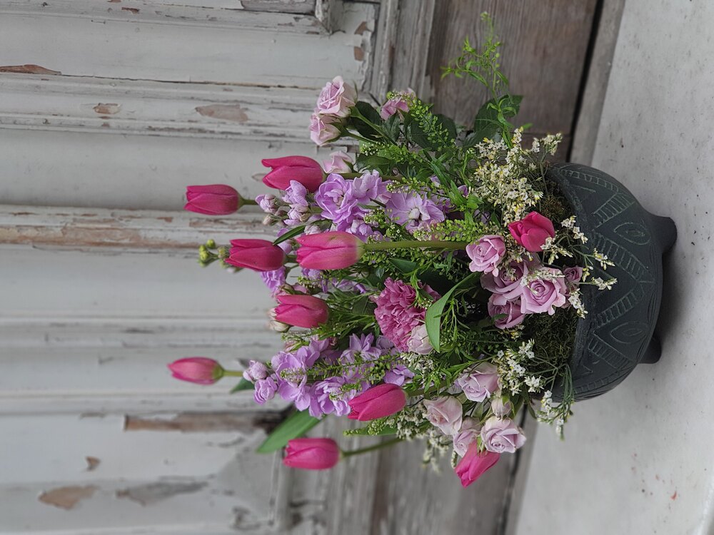 Pink Tulip