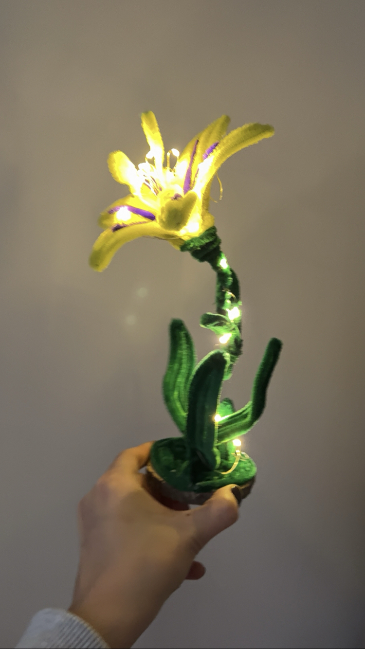 KÜÇÜK BOY RAPUNZEL ÇİÇEĞİ LAMBA KİTİ
