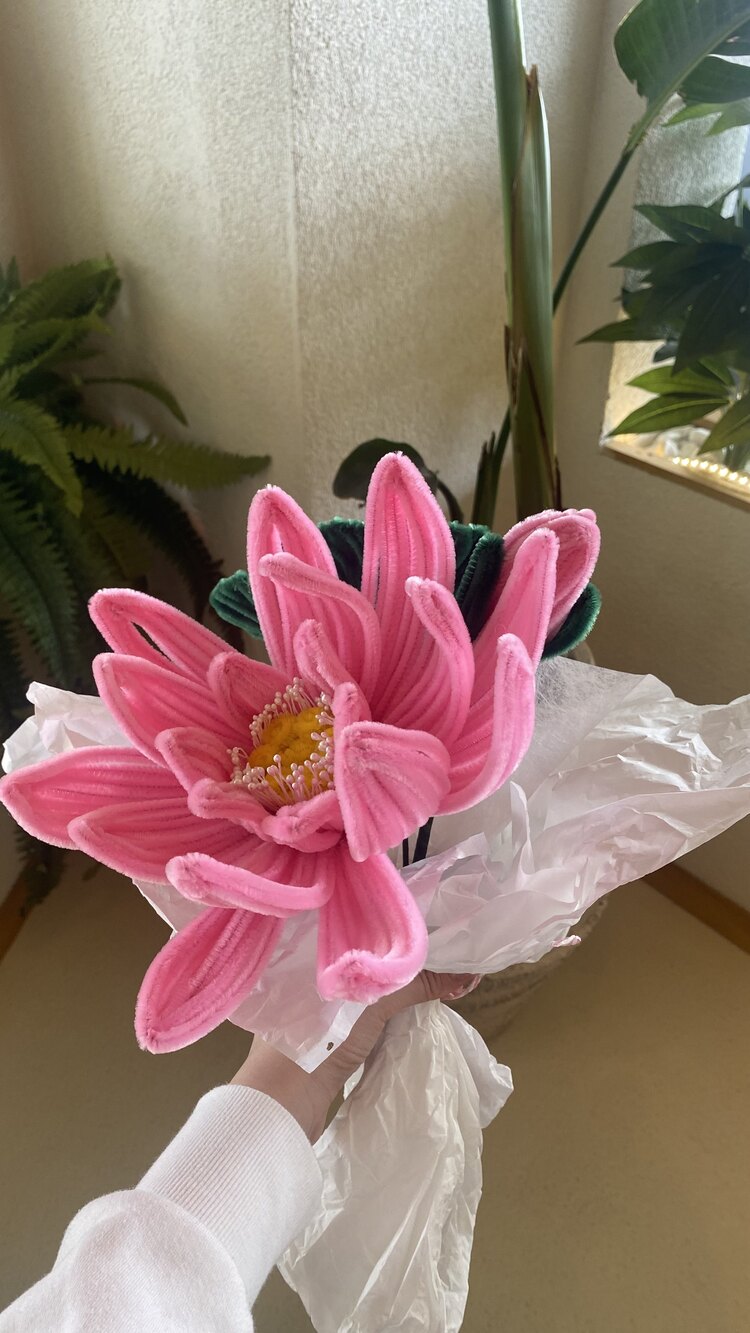 ŞÖNİL LOTUS KİTİ