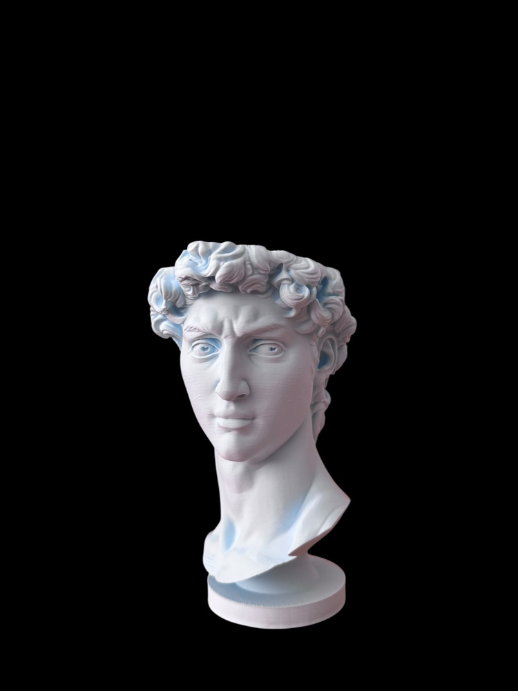 FloraDavid