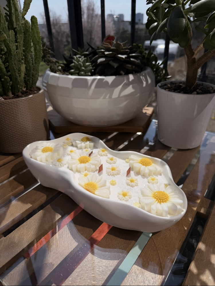 Uzun Kase Papatya (Soya Wax )
