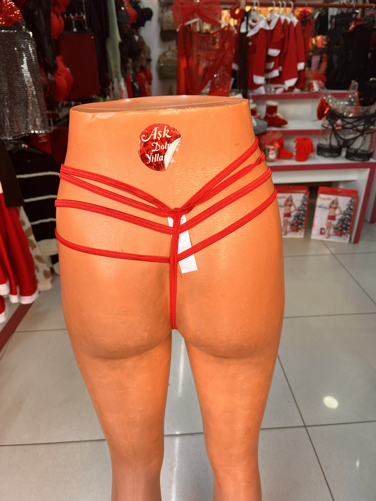 Bayan String
