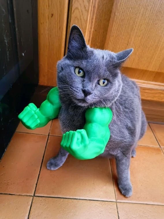 Evcil Hayvanlar İçin Hulk’s Arm 