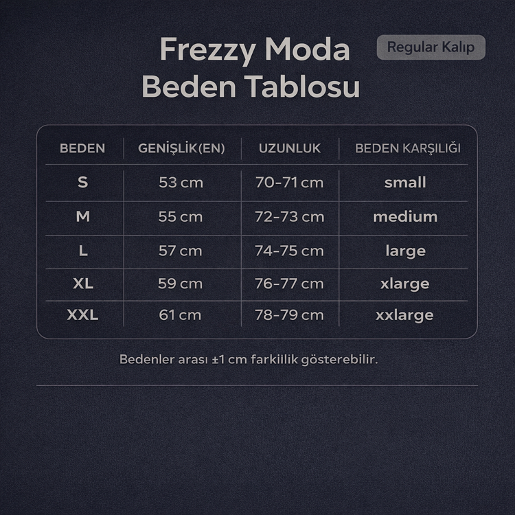 Tommy Erkek Regular Fit V Yaka Lacivert Tişört