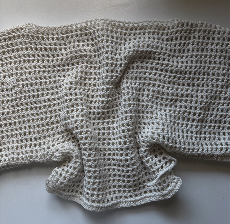 mesh top by twilescrochet