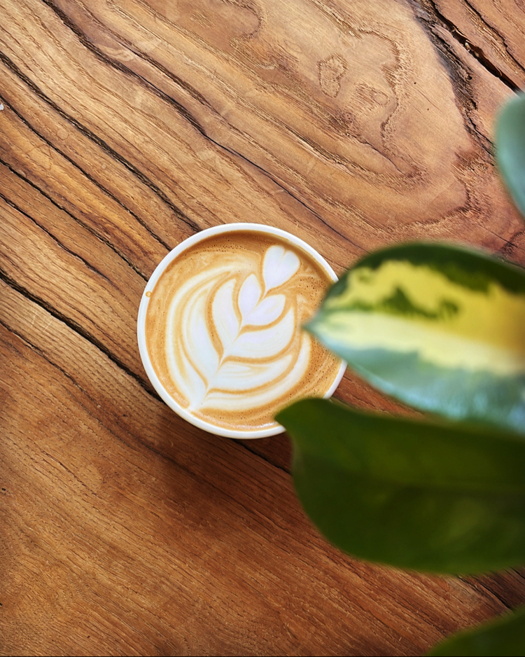 SCA Barista Skills Başlangıç Seviye Eğitim 