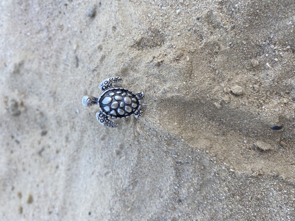 Caretta Yüzük -Z133