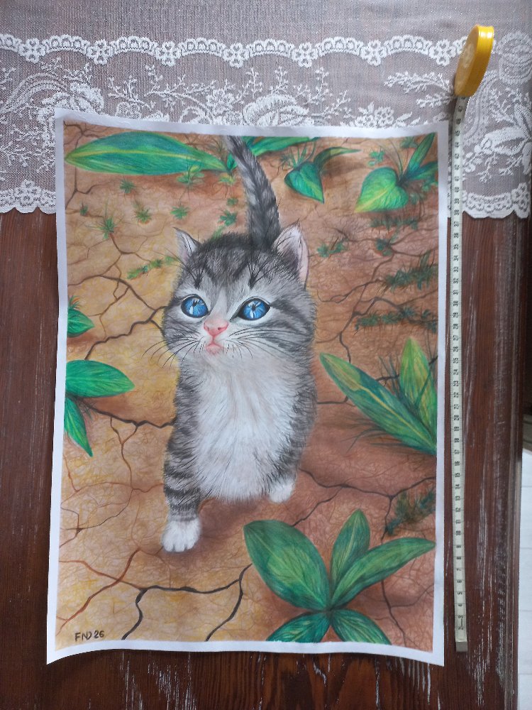 Yavru Kedi