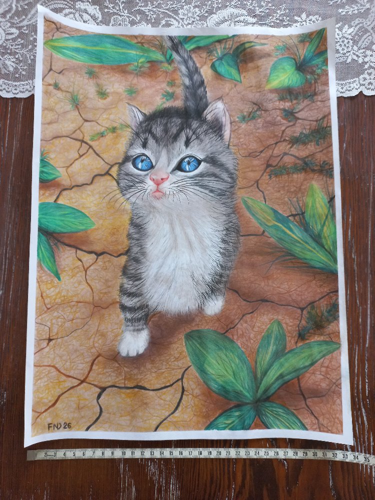Yavru Kedi