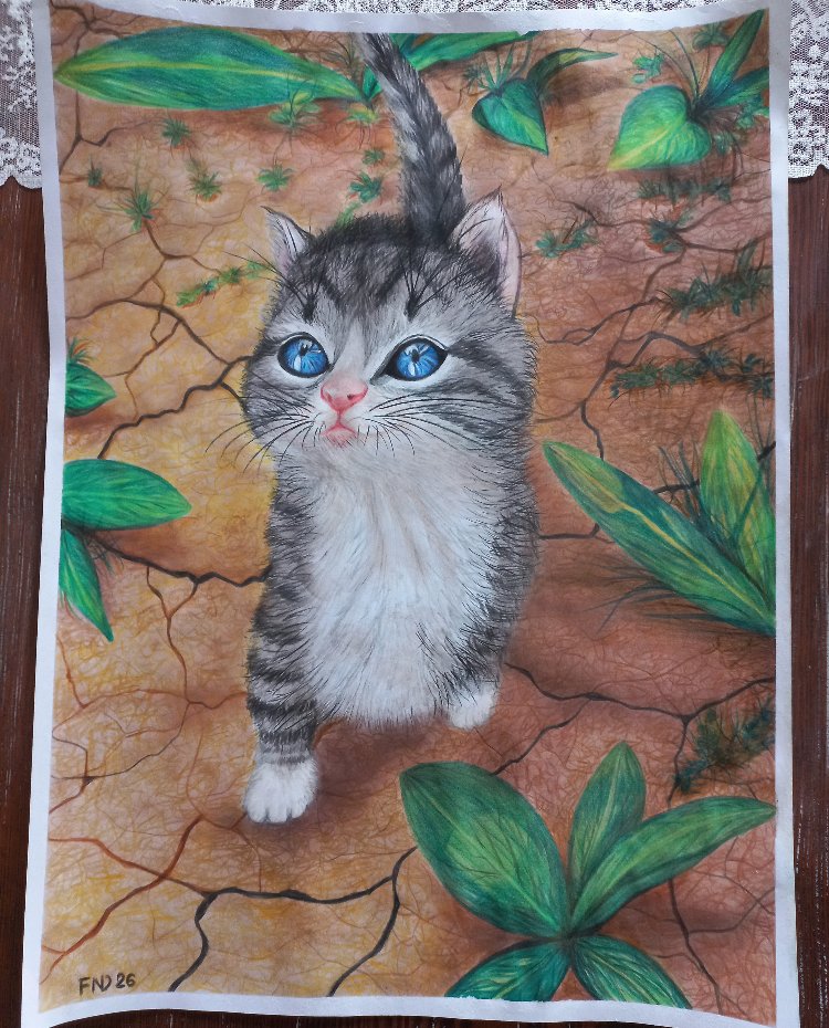 Yavru Kedi