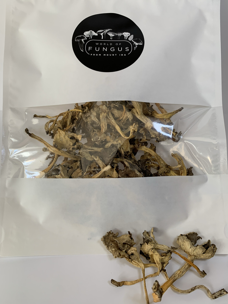 Kuru civciv ayağı mantarı - 100g