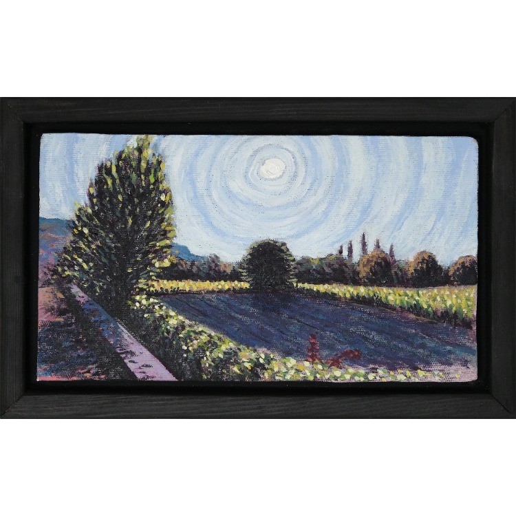 The Essence Of "Cabbage Field,Saraycık"