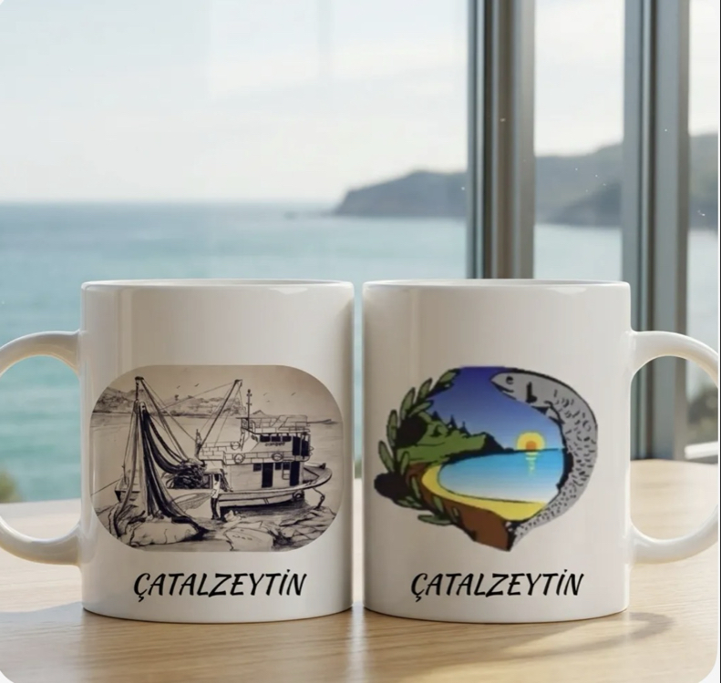 Çatalzeytin