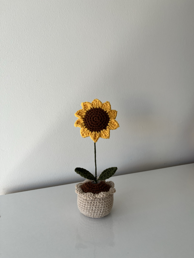 Sunflower pot