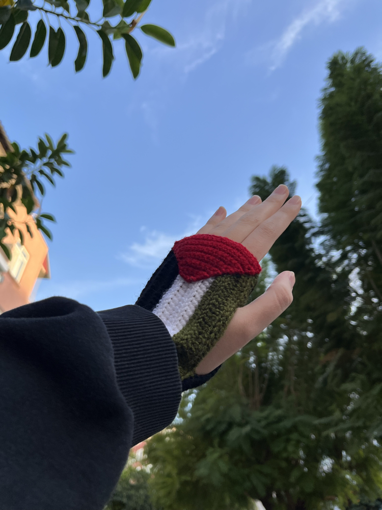 Filistin bayrağı eldiveni 